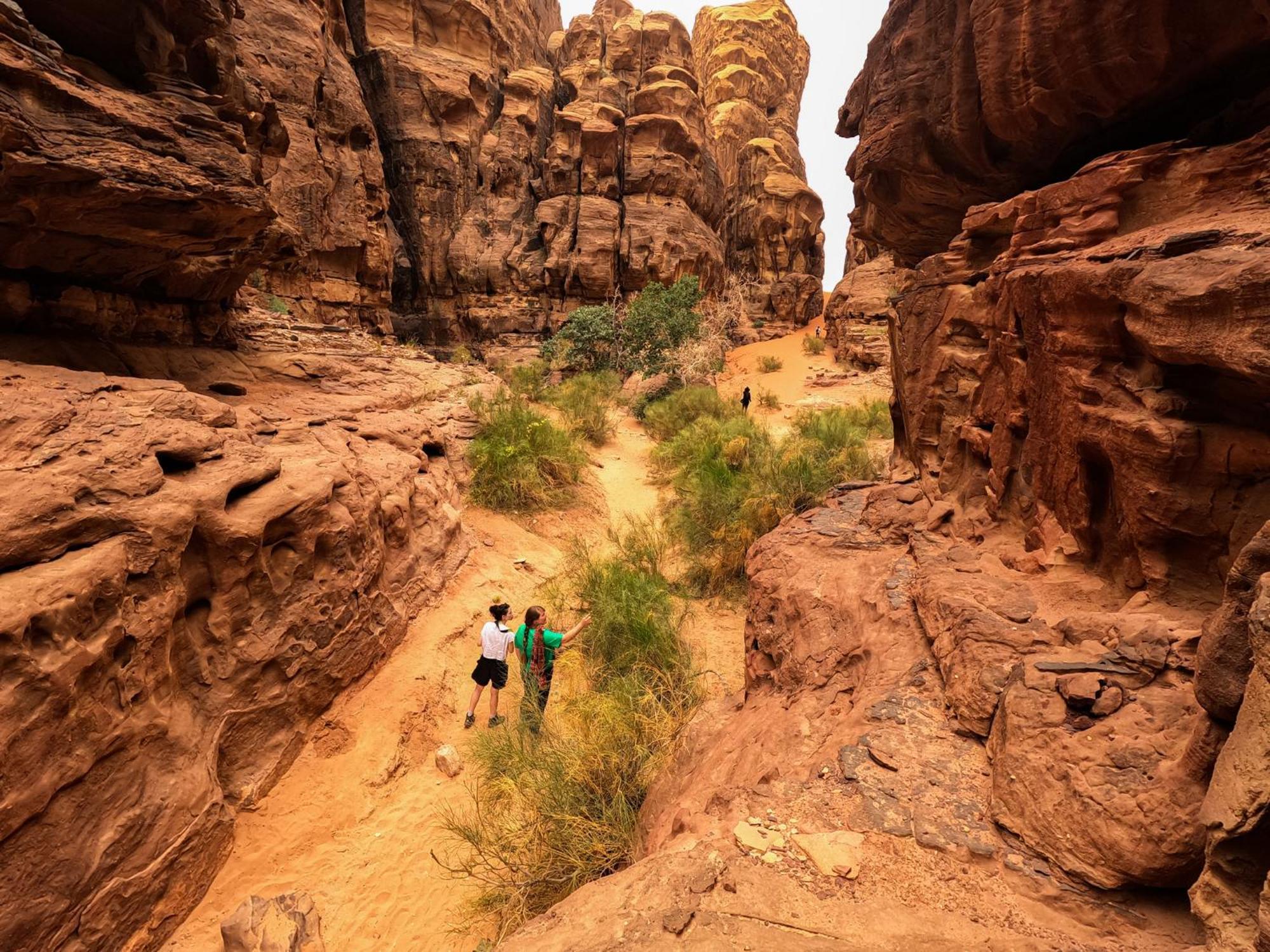 Hotel Stargazing Camp & Tours Wadi Rum Exteriér fotografie
