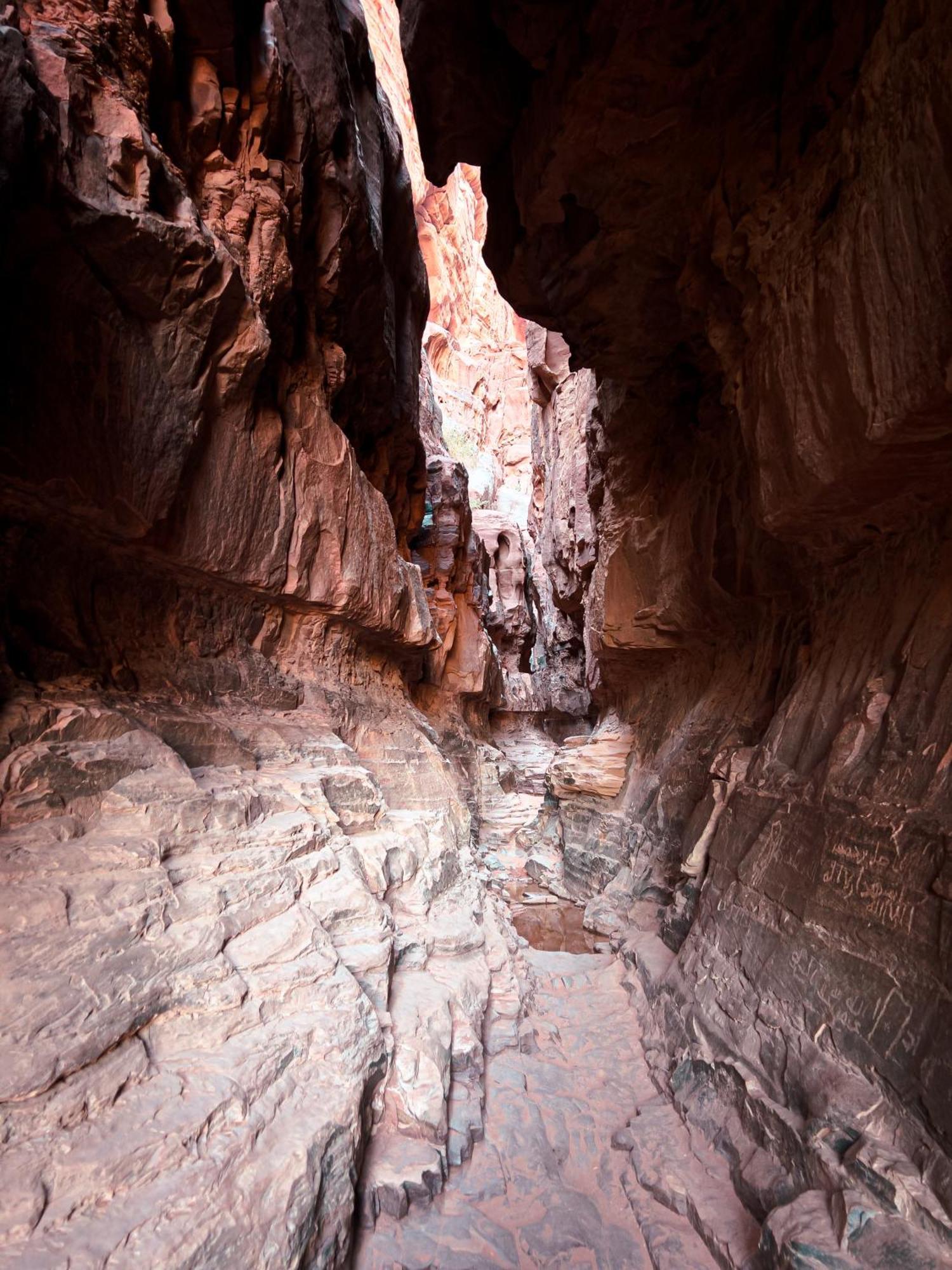 Hotel Stargazing Camp & Tours Wadi Rum Exteriér fotografie