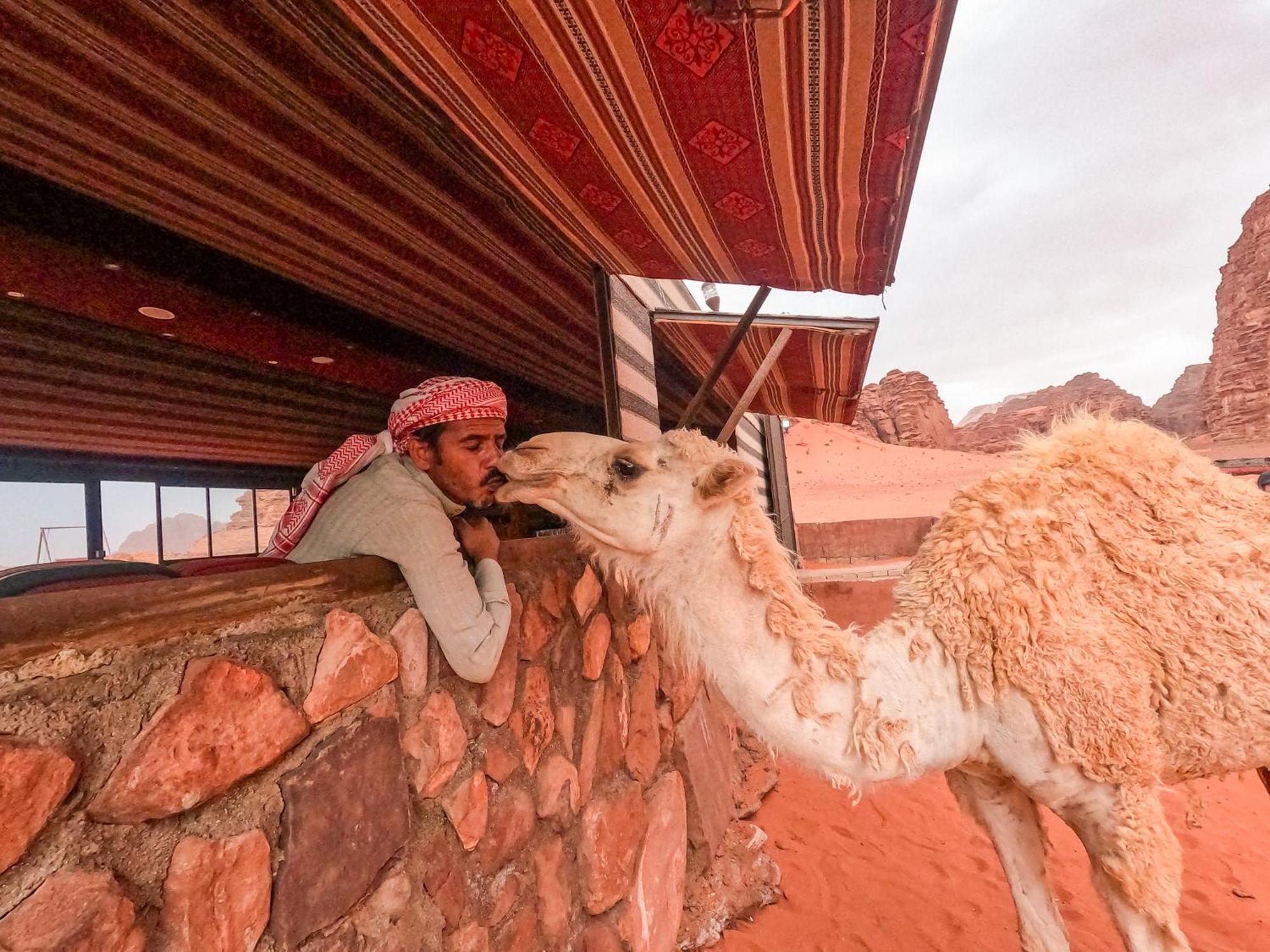 Hotel Stargazing Camp & Tours Wadi Rum Exteriér fotografie