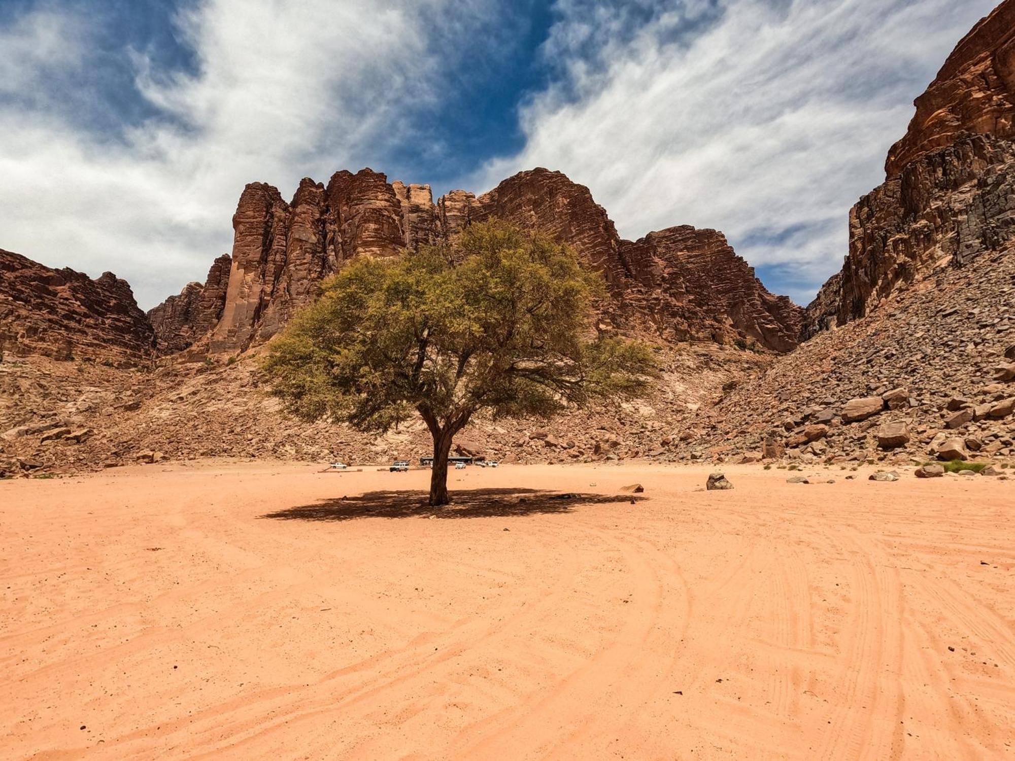 Hotel Stargazing Camp & Tours Wadi Rum Exteriér fotografie