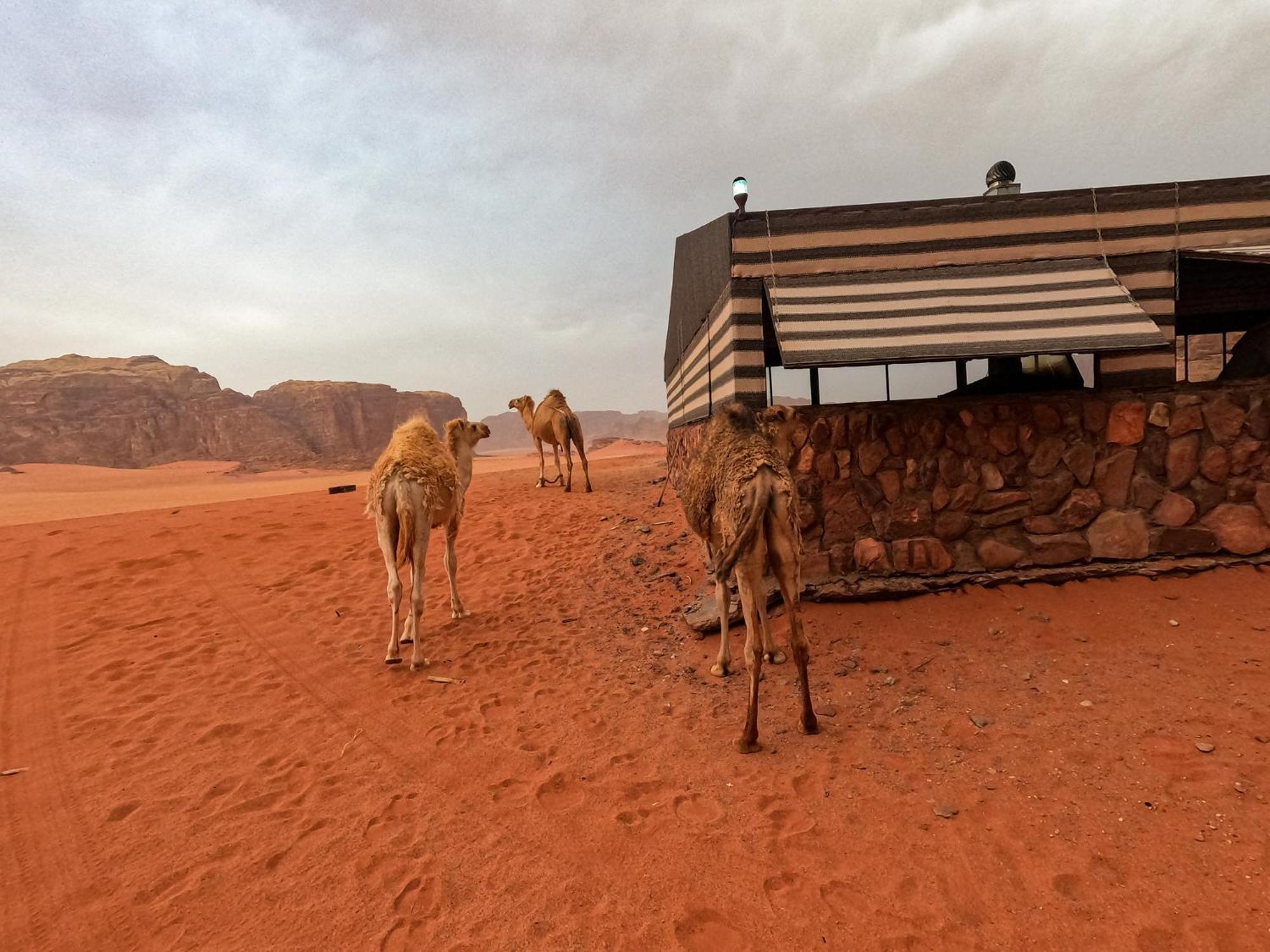 Hotel Stargazing Camp & Tours Wadi Rum Exteriér fotografie